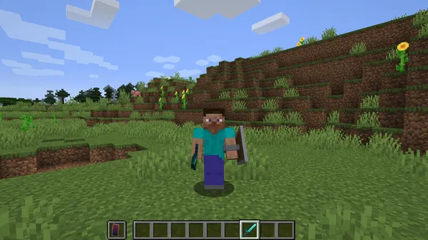 Minecraft - Steve